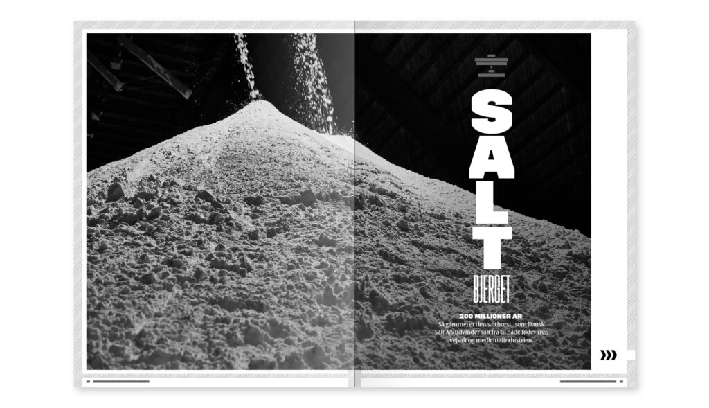 Layout af artikel om Dansk Salt A/S